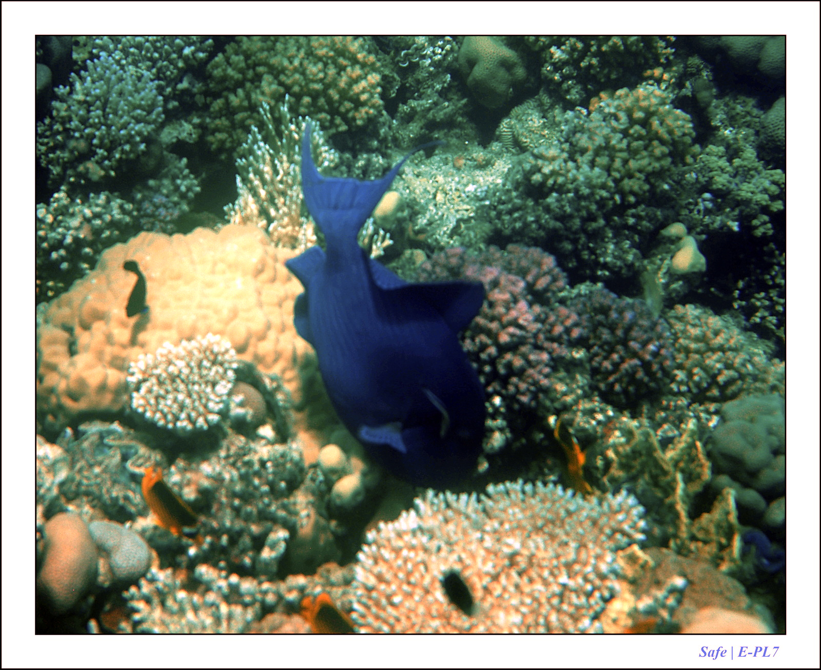 Hurghada - Juillet 2021 - 061